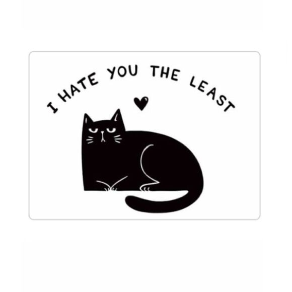 “I Hate You the Least” Cat Magnet - Picture 1 of 2